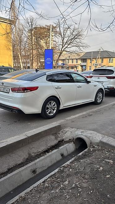 Kia: Kia Optima: 2017 г., 2 л, Автомат, Газ, Седан — 4