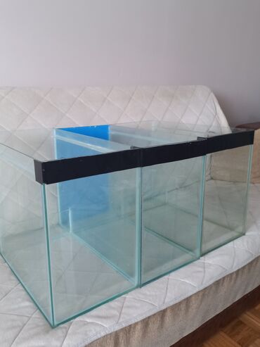 jake ogrlice za pse: AKVARIJUMI (tri komada) za ribice dimenzija: D-50cm Š-25cm V-40cm u