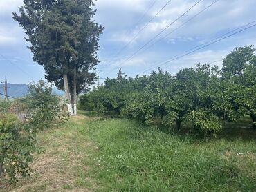 Гаражи: 35 соток, Для сельского хозяйства, Собственник, Купчая