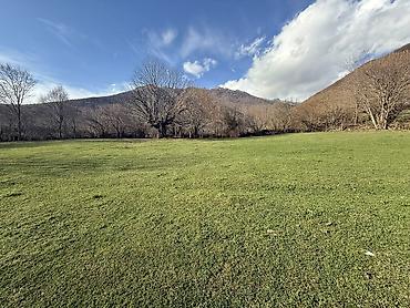 Torpaq sahələrinin satışı: 35 sot, Mülkiyyətçi — 15