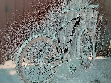 velosiped 16: MTB tipli velosiped - Rəng: mat qara, dekorativ stikerlərlə - — 1