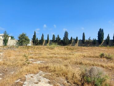 Torpaq sahələrinin satışı: 30 sot, Mülkiyyətçi, Kupça (Çıxarış), Bələdiyyə -da lalafo.az — 12 Torpaq sahələrinin satışı: 30 sot, Mülkiyyətçi, Kupça (Çıxarış), Bələdiyyə — 12