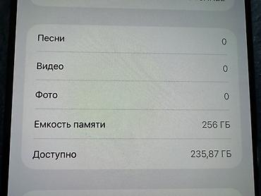 iphone 3g: IPhone 16 Pro Max, Б/у, 256 ГБ, Черный, Коробка, 90 % — 1
