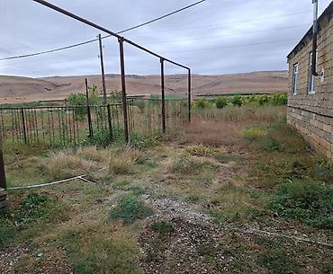 bine savxoz torpaq satilir: 4 otaqlı, 12 kv. m, Kredit yoxdur, Orta təmir — 2