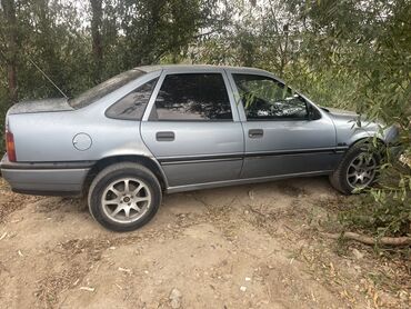 сиденья сетра: Opel Vectra: 1990 г., 1.6 л, Механика, Бензин, Седан