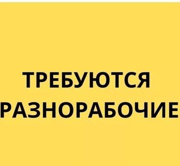 работа на поле: Требуется Разнорабочий, Оплата Ежедневно, Без опыта