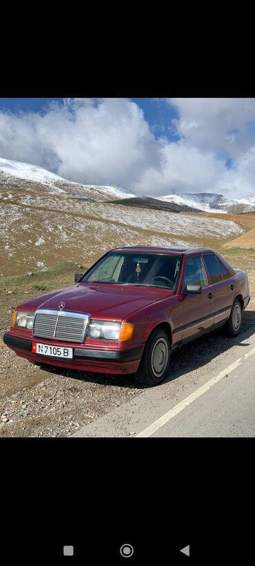 Mercedes-Benz: Mercedes-Benz W124: 1989 г., 2 л, Механика, Бензин, Седан