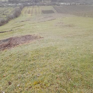 Torpaq sahələrinin satışı: Kənd təsərrüfatı — 1