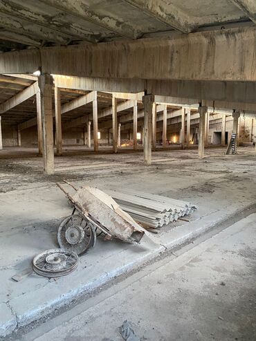 Продажа участков: 100 соток, Красная книга — 6