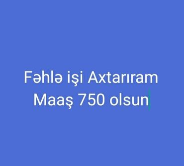 Digər ixtisaslar: Salam Daymi Fəhlə işi Axtarıram Uzun illərdi Fəhlə işləyirəm təcrübəli