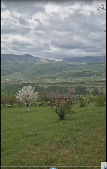 Torpaq sahələrinin satışı: 150 sot, Biznes üçün, Mülkiyyətçi, Kupça (Çıxarış) -da lalafo.az — 2 Torpaq sahələrinin satışı: 150 sot, Biznes üçün, Mülkiyyətçi, Kupça (Çıxarış) — 2