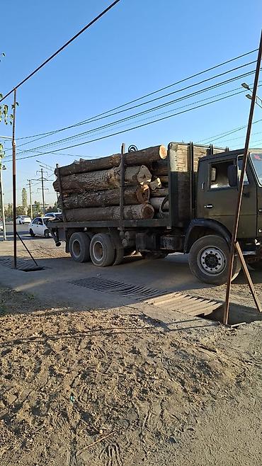 рубим дрова: Терек алабыз Ош шаары - Порода: лиственная (визуально — тополь/вяз — 3