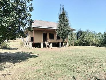 nzs ev: Salam kupsalı ev di. Gunehir kendindedi — 3