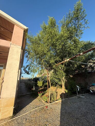 Həyət evləri və villaların satışı: Buzovna 4 otaqlı, 312 kv. m, Yeni təmirli — 5