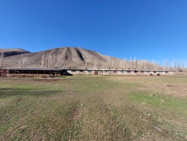 Сельхоз предприятия: Продаю Кошара, 150 соток, Действующий, С оборудованием, Электричество, Холодная вода — 9