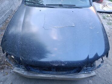 липотрим как отличить оригинал от подделки: Nissan Cefiro Maxima A33 Ниссан Цефиро Максима А33 капот кости целые