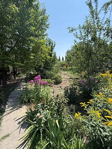 5: 🏡🏡 ПРОДАЕТСЯ УЮТНЫЙ КИРПИЧНЫЙ ДОМ В г. Шопоков 🏡🏡 🌳 Участок — 7,37 — 7