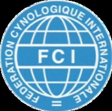документы для визы в германию: FCI (Fédération Cynologique Internationale) – it sertifikatlaşdırma və