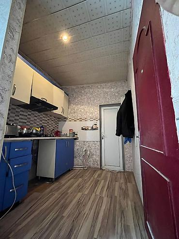 Bağ və bostan üçün digər məhsullar: Salam bələdiyyə sənəti — 4