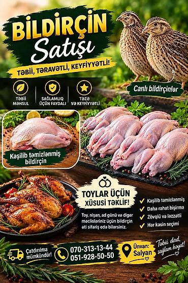 santexnika mallari satisi: Bildirçin satışı – təbii, təravətli, keyfiyyətli Məhsul çeşidləri: - — 1