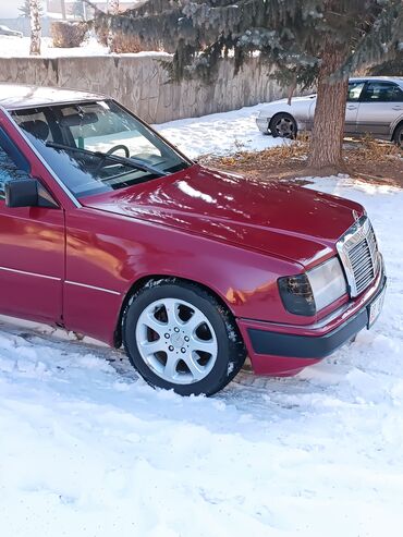 Mercedes-Benz: Mercedes-Benz W124: 1990 г., 2.3 л, Механика, Бензин, Седан