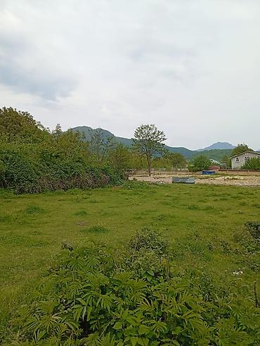 Torpaq sahələrinin satışı: 12 sot, Tikinti, Mülkiyyətçi, Kupça (Çıxarış) — 6