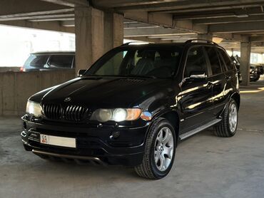 BMW: BMW X5: 2002 г., 4.4 л, Автомат, Бензин, Внедорожник