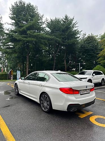 bwv e34: BMW 530: 2020 г., Бензин, Седан — 3