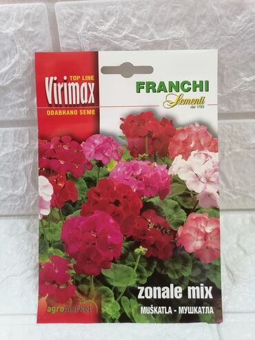 Semena i sadnice: Cena 500din/kesica — 1