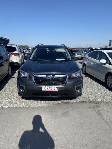 авто в рассрочку без первоначального взноса: Subaru Forester: 2020 г., 2.5 л, Вариатор, Бензин, Кроссовер