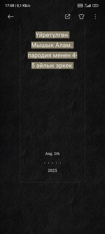 где купить крысу: Мальчик, 4 года, Метис, Серый