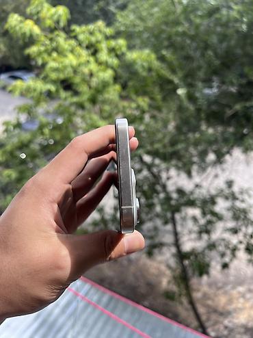 iphone 17e: IPhone 15 Pro Max, Б/у, 256 ГБ, Серебристый, Зарядное устройство, 98 % — 5