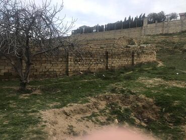 Torpaq sahələrinin satışı: 30 sot, Makler, Kupça (Çıxarış) — 13