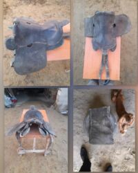 купить домик для кота: Təmiz ingilis yəhəri – göndü • Model: İngilis tipli at yəhəri •