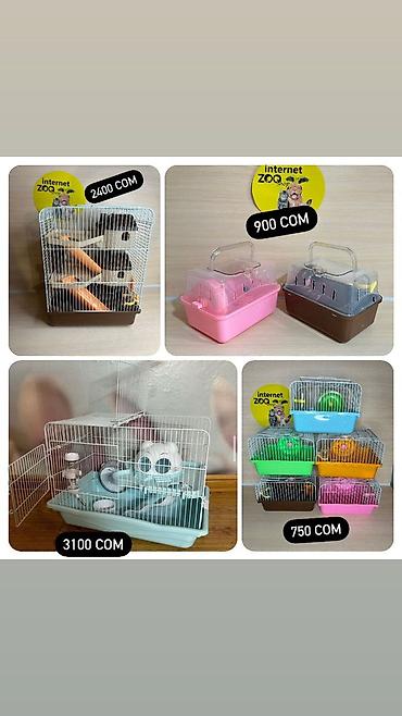 Хомяки: Нас большой выбор клеток для хомяков. Одноэтажные, двухэтажные — 2