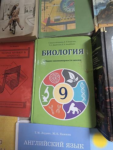 Другие учебники: Набор учебников и книг, преимущественно для 9 класса. В комплект — 20