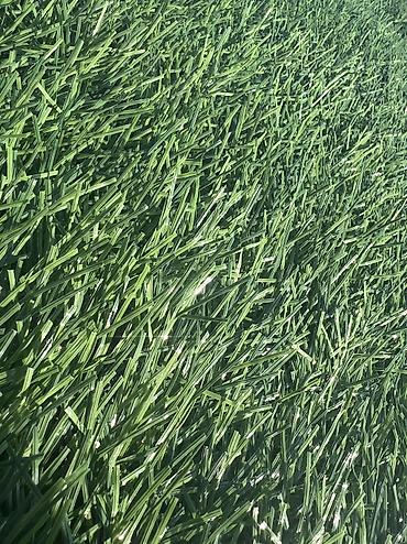 Строительство под ключ: Больше 6 лет опыта — 12