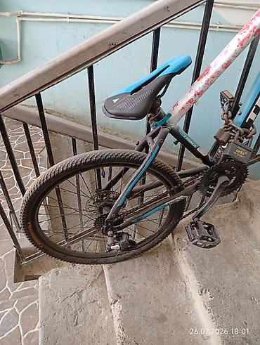 bmx gtr 334: Orginal və keyfiyyətli möhkəm Trinx markasına aid (24 ölçüdə) — 4