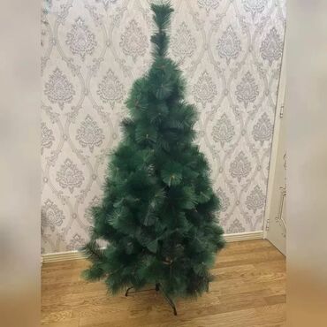 forx5 kahve qiymeti: Şam ağacı. 180sm. Qiymət: 45 manat. qiymət sondu Ünvan: Ayna Sultanova