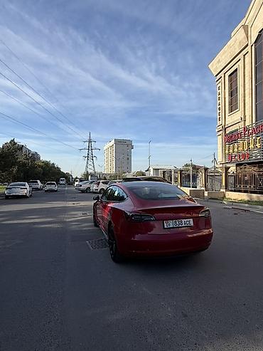 тент крыша: Tesla Model 3: 2022 г., Электромобиль, Седан — 2