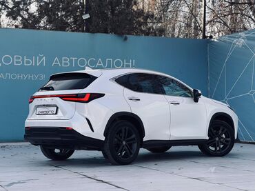 Lexus: Lexus NX: 2024 г., 2.5 л, Автомат, Бензин, Кроссовер — 6