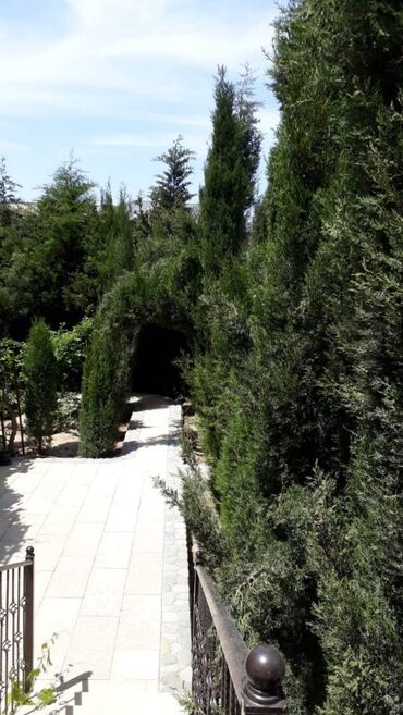 Uzunmüddətli kirayə evlər: 200 kv. m, 5 otaqlı — 8