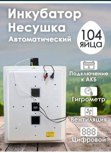 молочные оборудование: Инкубаторлор НесушкаЗолушка сатылат Российский полный афтомат 12