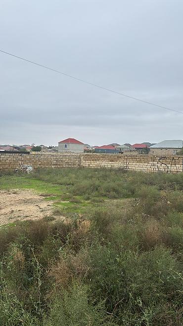 caravan satisi: Tikinti, Kupça (Çıxarış) — 8