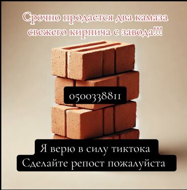 Строительный кирпич: Пустотелый, дырчатый, Жженый кирпич, 250x120x65