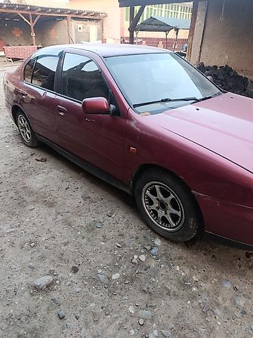 235 65: Nissan Primera: 2002 г., Бензин, Седан — 4