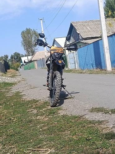мото спортивные: Эндуро/кросс мотоцикл TULPAR (деколи “TULPAR”, “MOTO”) в — 3