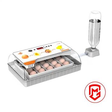 лотки для перепелиных яиц: Сельскохозяйственное оборудование и оборудование HHD, мини-инкубаторы