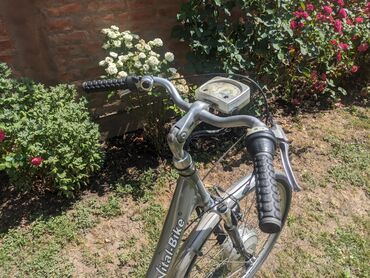 Bicikli za odrasle: Električni bicikl Vital Bike u srebrnoj boji. Ima ram standardne — 4