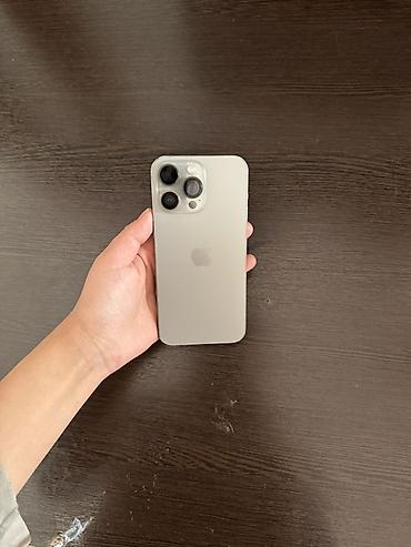 iphone mini: IPhone 15 Pro Max, Б/у, 256 ГБ, Серебристый, Чехол, Коробка, 77 % — 5